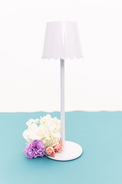 Scalloped Lamp